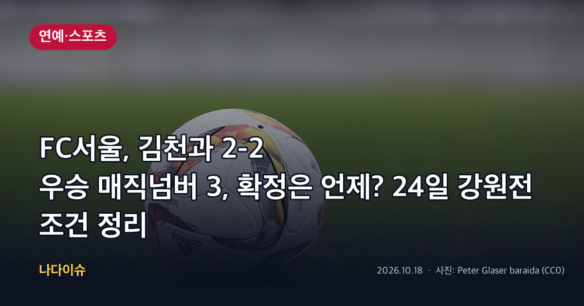 FC서울, 김천과 2-2…우승 매직넘버 3, 확정은 언제? 24일 강원전 조건 정리