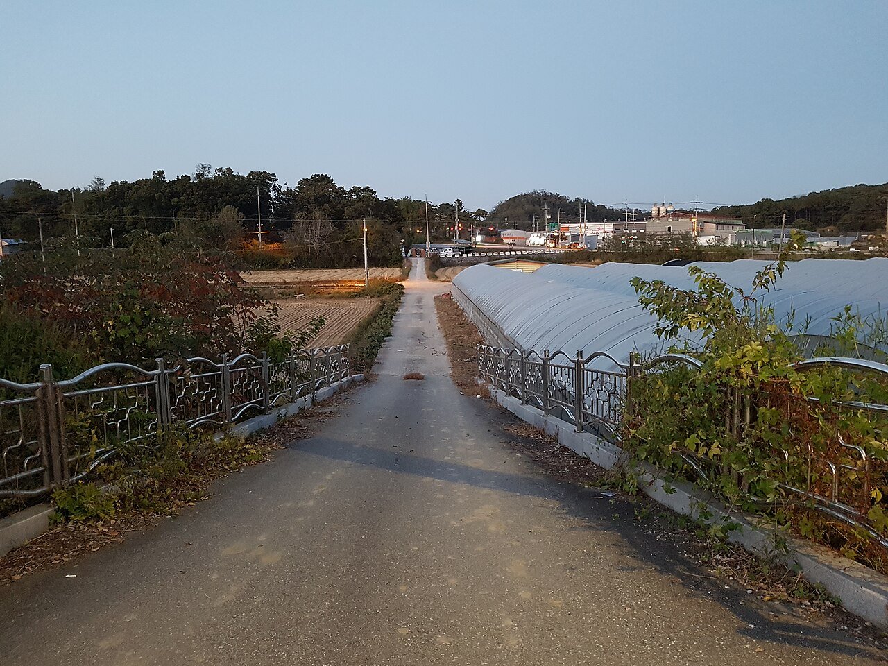 도시 외곽의 밭과 비닐하우스, 작은 공장이 보이는 시골길 풍경