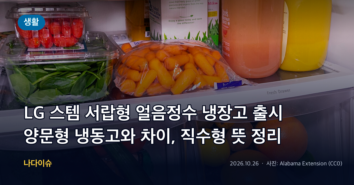 LG 스템 서랍형 얼음정수 냉장고 출시…양문형 냉동고와 차이, 직수형 뜻 정리