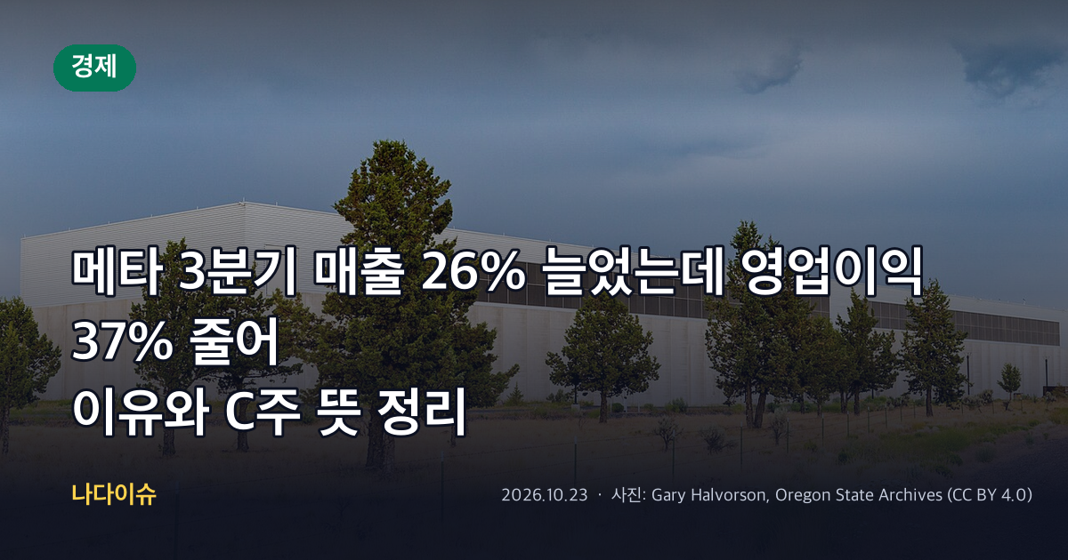 메타 3분기 매출 26% 늘었는데 영업이익 37% 줄어…이유와 C주 뜻 정리