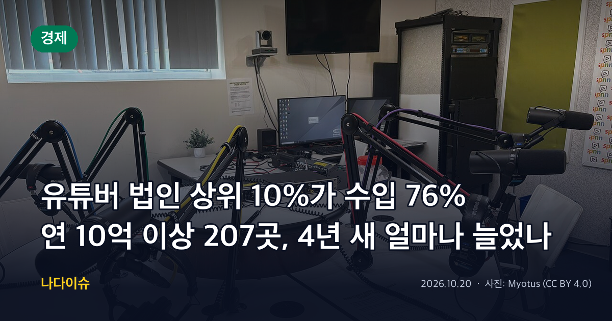 유튜버 법인 상위 10%가 수입 76%…연 10억 이상 207곳, 4년 새 얼마나 늘었나